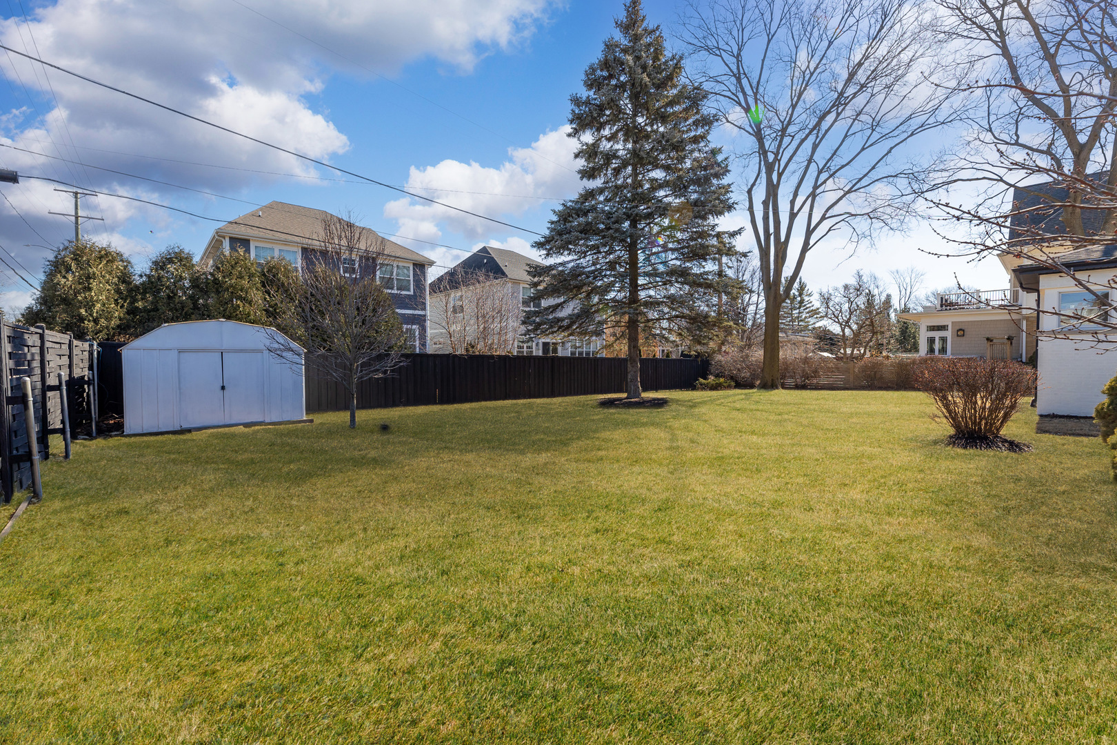 4701 Wolf Road Western Springs, IL 60558 - Photo 20 of 27 a large tree in middle of the garden