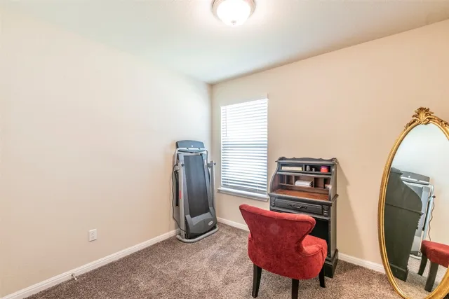 a room with furniture and a potted plant