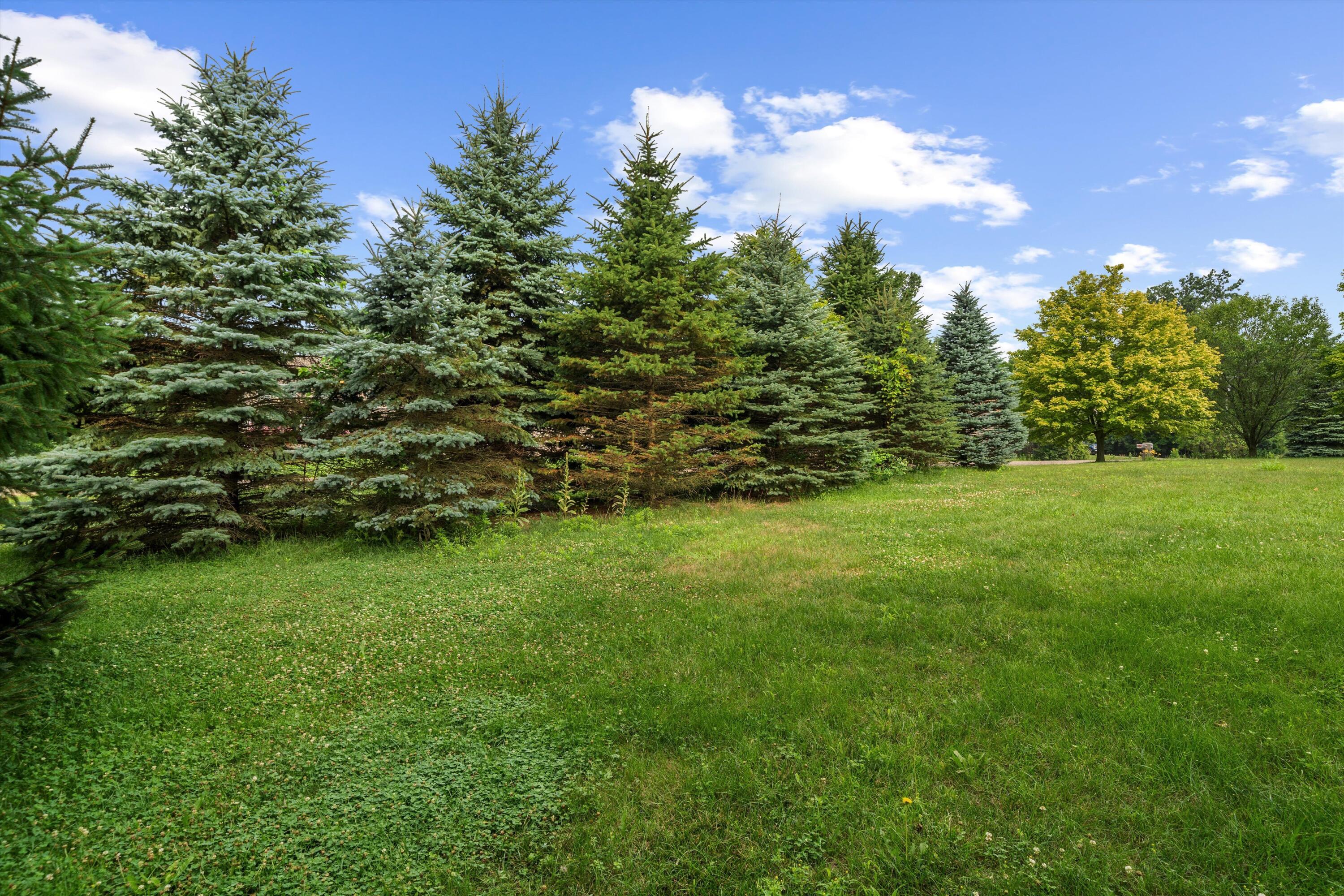 1510 Muehleisen Road Monroe, MI 48162 - Photo 56 of 67 69-DSC00683