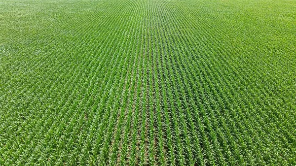 $834,000 | Tbd Siler Road, Moody, TX 76557