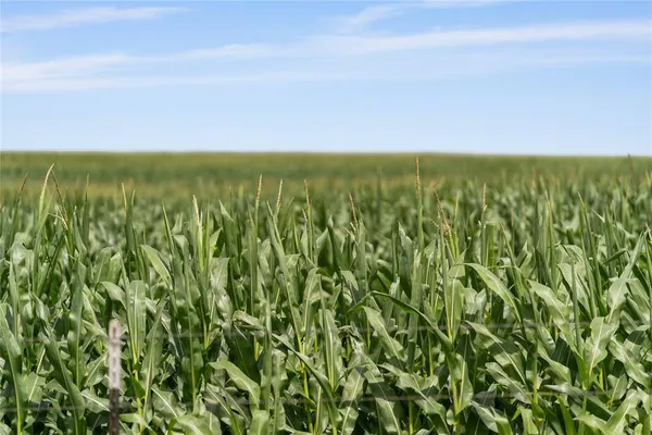 $834,000 | Tbd Siler Road, Moody, TX 76557