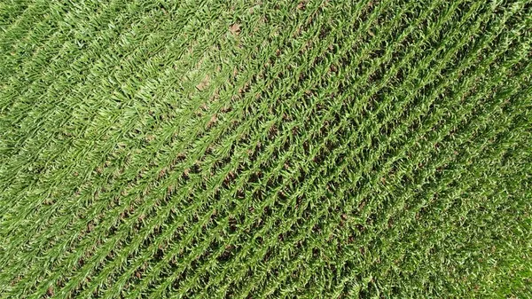 $834,000 | Tbd Siler Road, Moody, TX 76557