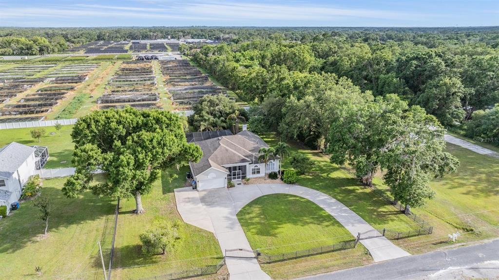 6411 Barton Road Plant City, FL 33565 - Photo 43 of 46 Gallery Image 43