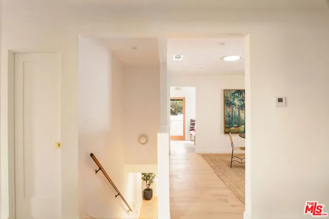a living room with furniture flowerpot and a potted plant