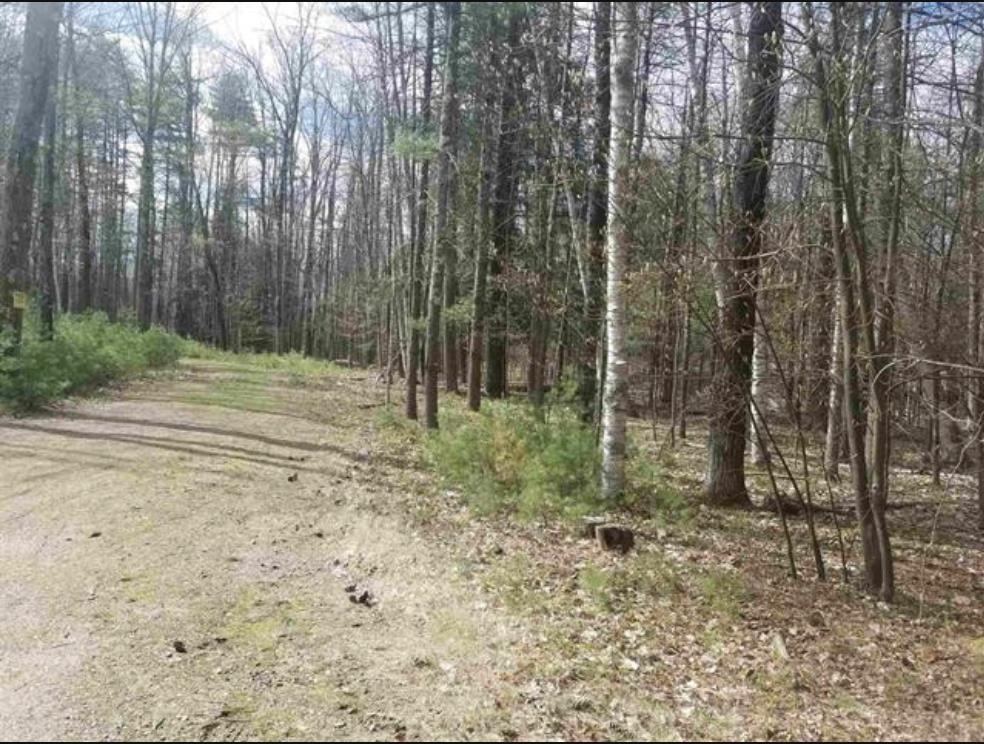 21 B Lovejoy Sands Road Meredith, NH 03253 - Photo 2 of 9 Gallery Image 2