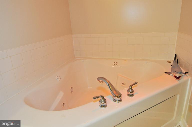 6137 Waiting Spring Columbia, MD 21045 - Photo 19 of 27 Bath (Master)