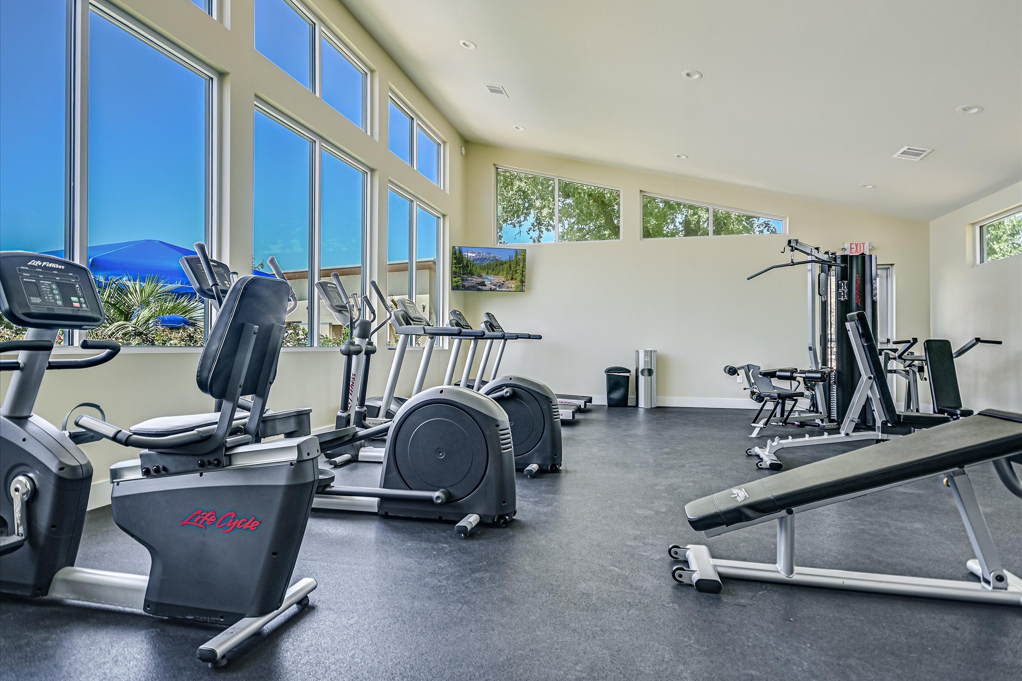 1701 Chapel Ranch Road Georgetown, TX 78628 - Photo 24 of 28 High vaulted ceilings and tall windows bring abundant natural light into this professional fitness space.