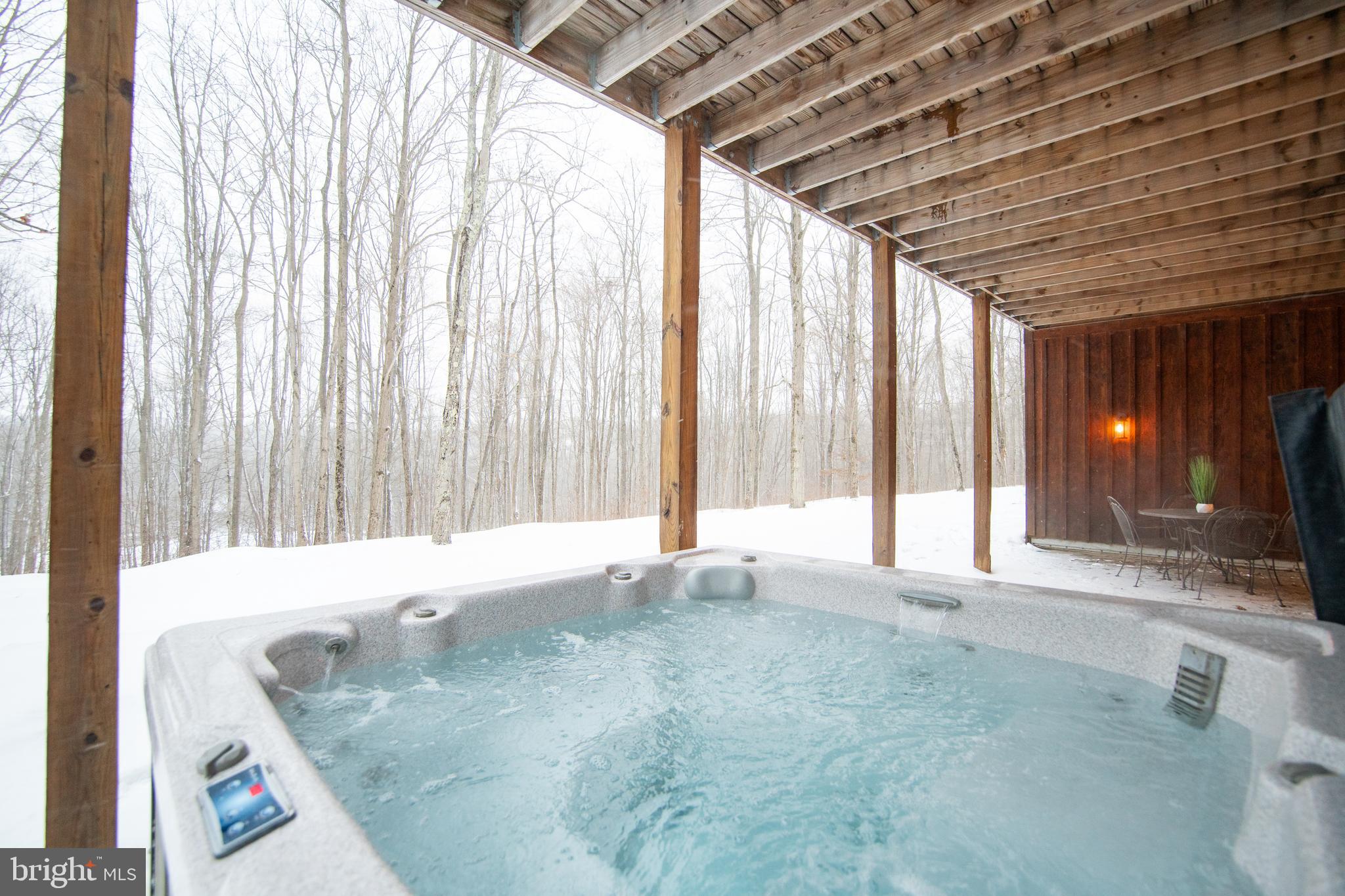 948 Legeer Road Grantsville, MD 21536 - Photo 87 of 94 Hot tub
