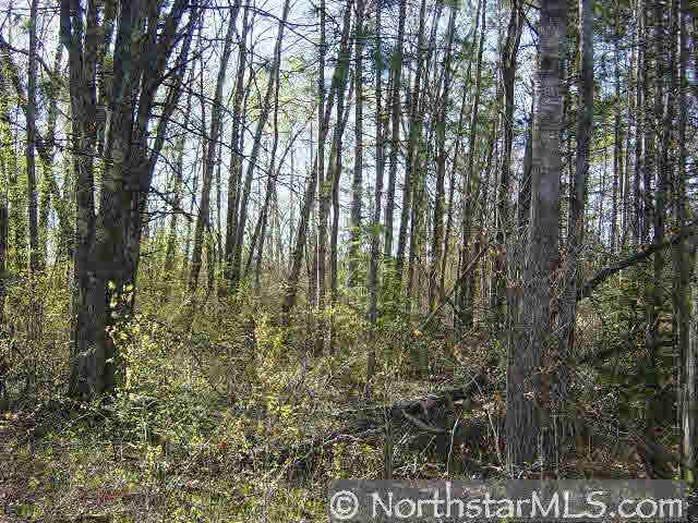 Lot #1 Thoroughfare Road Stone Lake, WI 54876 - Photo 1 of 1 Gallery Image 1