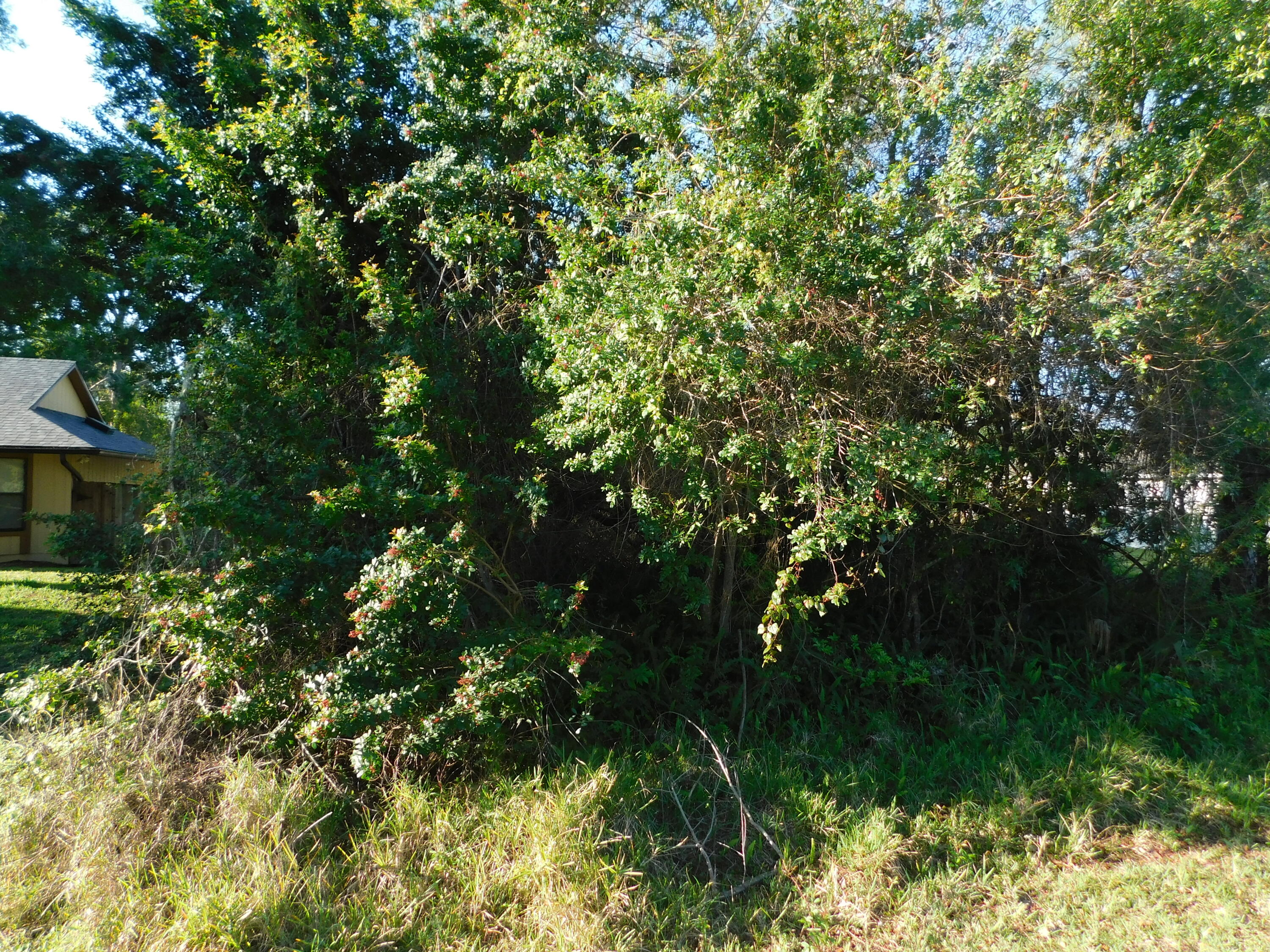 7201 Sebastian Road Fort Pierce, FL 34951 - Photo 2 of 2 Sebastian