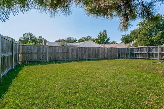 a view of a backyard with a potted plants and palm trees