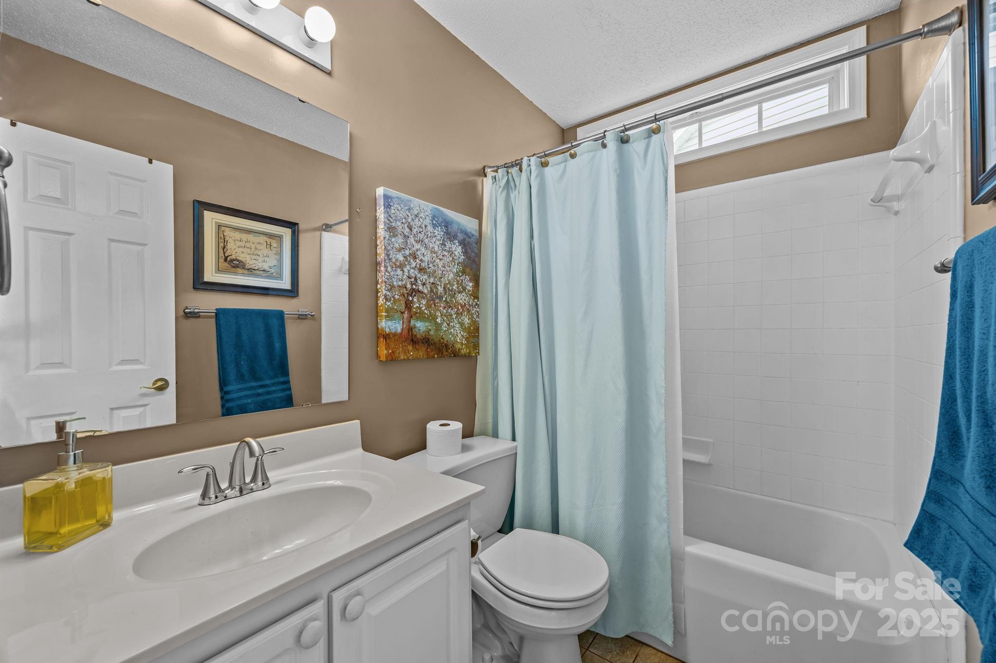 255 Stonehollow Road Fletcher, NC 28732 - Photo 23 of 32 a bathroom with a granite countertop sink toilet and shower
