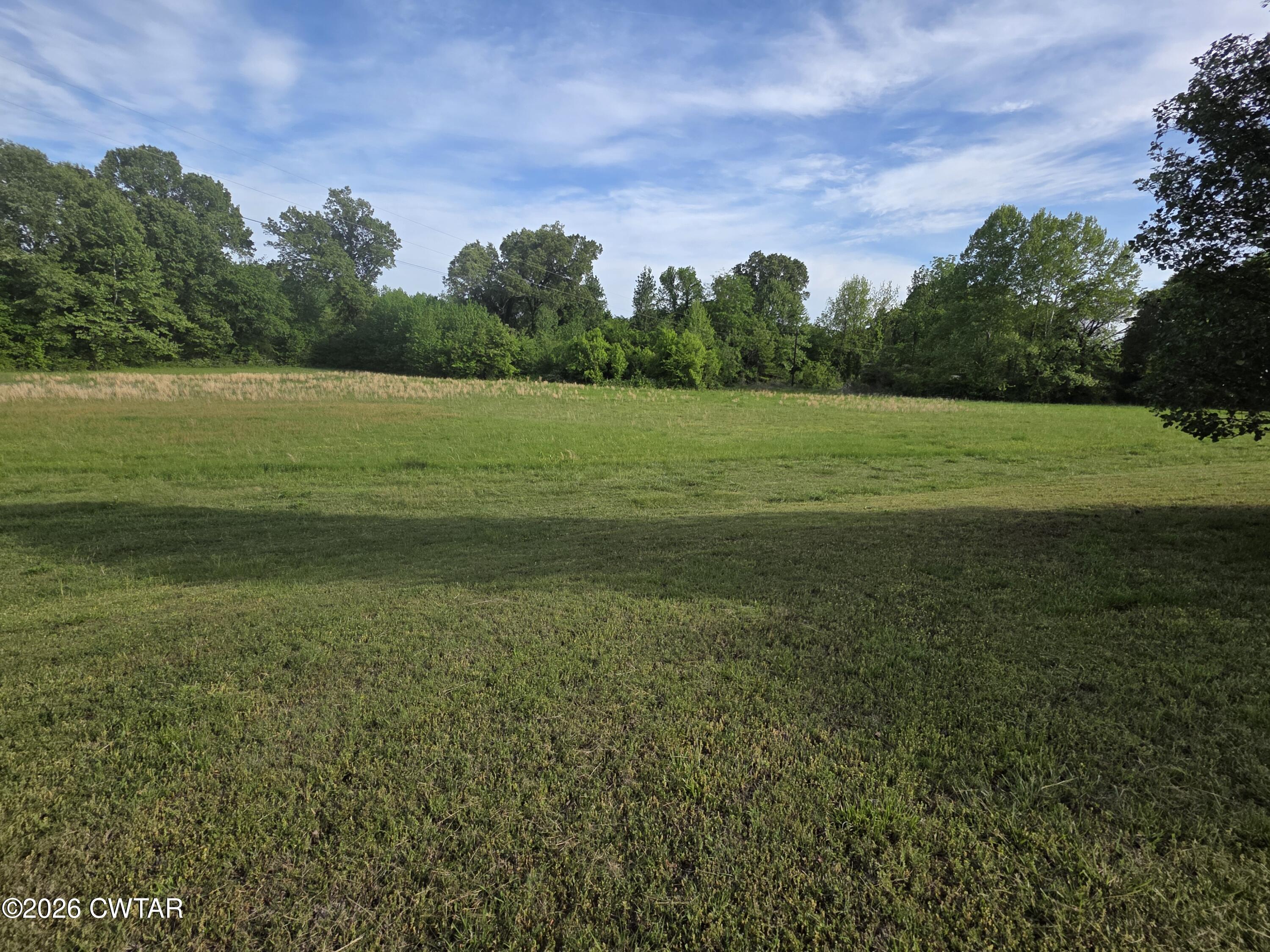 111 Leighton County Line Road Denmark, TN 38391 - Photo 12 of 53 a view of a field with an ocean