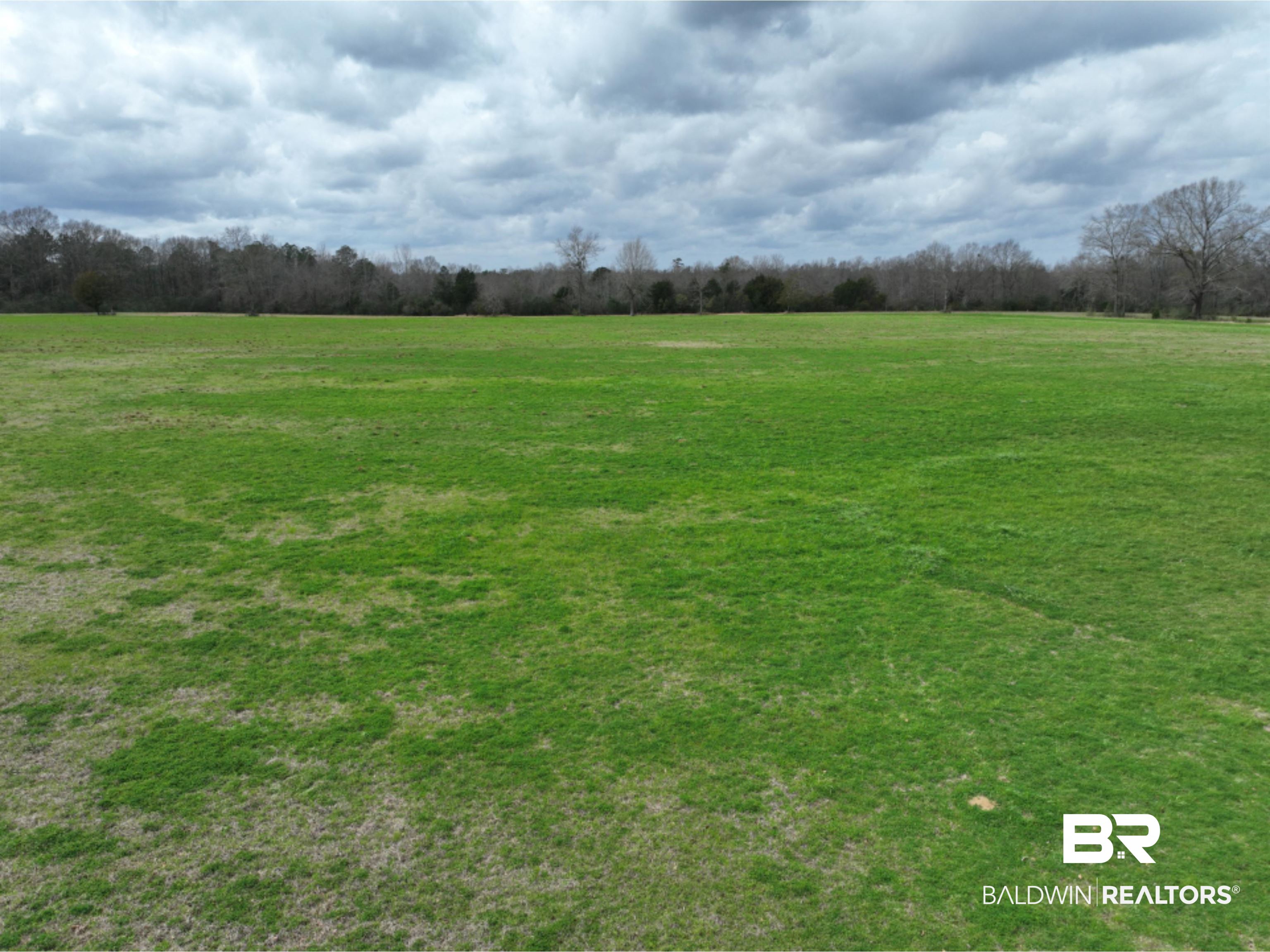 0 Luke Hadley Road Perdido, AL 36562 - Photo 6 of 18