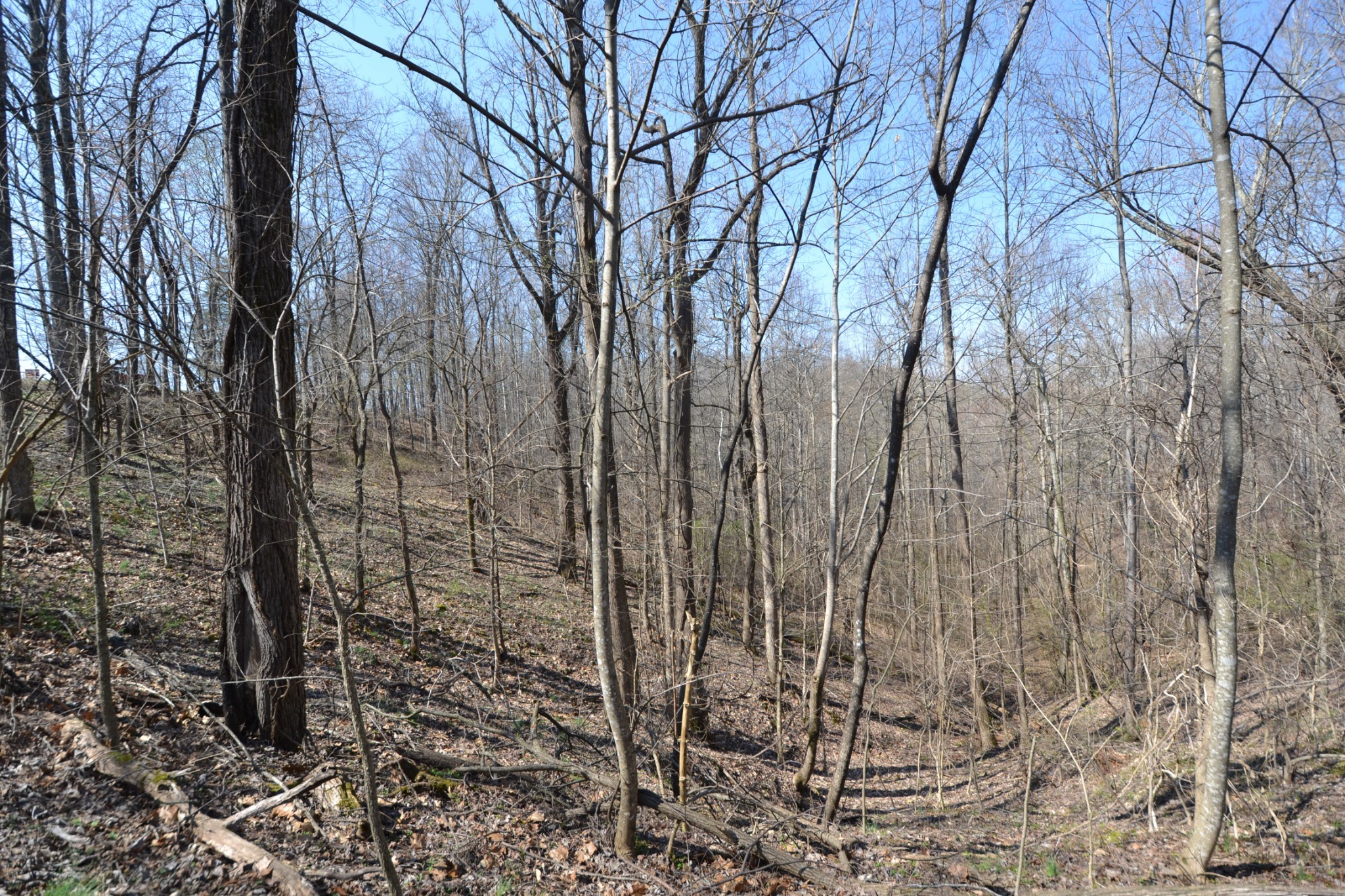 2 Pea Ridge Road Elmwood, TN 38560 - Photo 13 of 26 Gallery Image 13