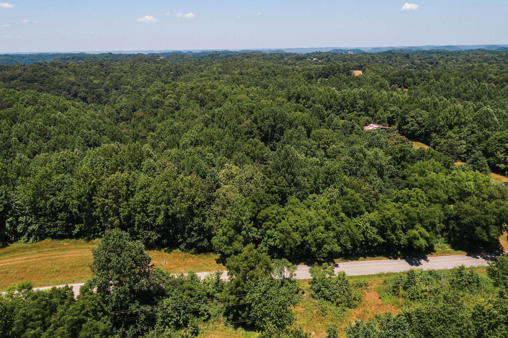 2 Pea Ridge Road Elmwood, TN 38560 - Photo 21 of 26 Gallery Image 21