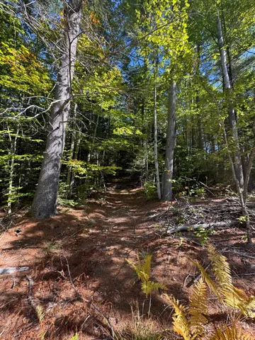 $75,000 | 41 Hampshire Hill Road, Worcester, VT 05682