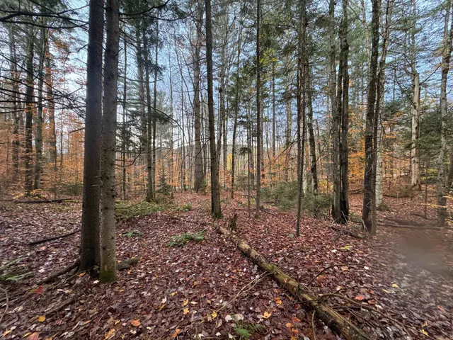 $75,000 | 41 Hampshire Hill Road, Worcester, VT 05682