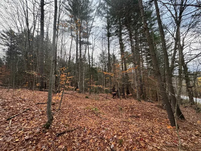 $75,000 | 41 Hampshire Hill Road, Worcester, VT 05682