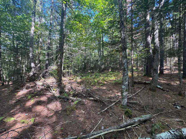 $75,000 | 41 Hampshire Hill Road, Worcester, VT 05682