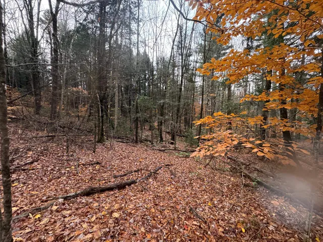 $75,000 | 41 Hampshire Hill Road, Worcester, VT 05682