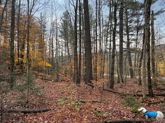 $75,000 | 41 Hampshire Hill Road, Worcester, VT 05682