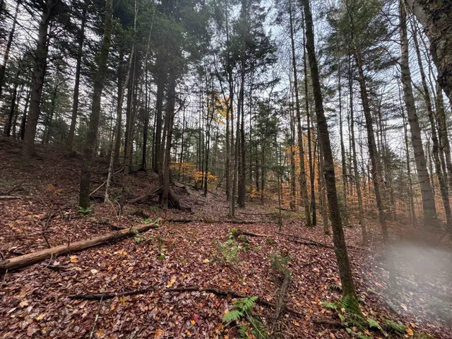 $75,000 | 41 Hampshire Hill Road, Worcester, VT 05682