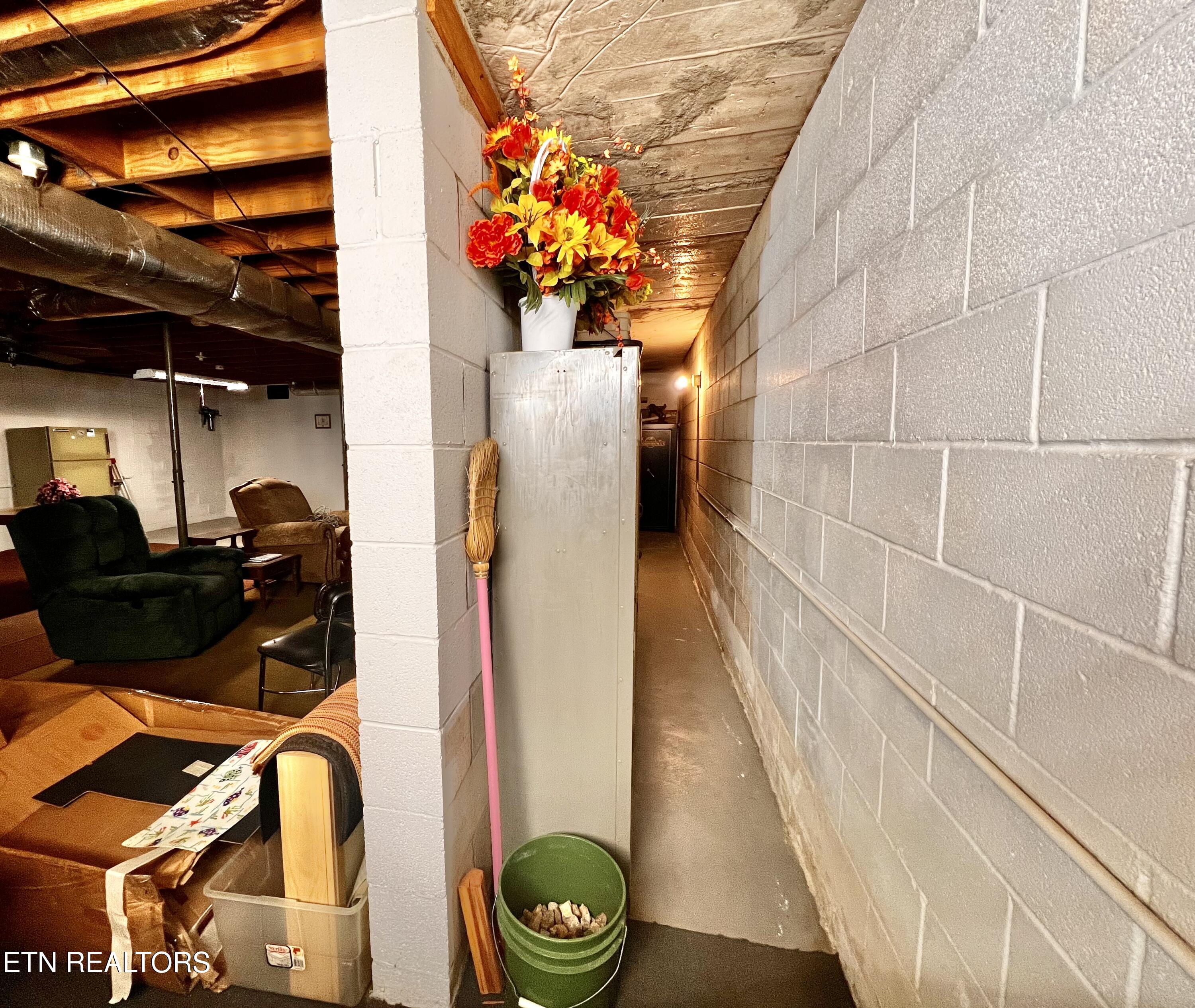 3347 Back Valley Road Speedwell, TN 37870 - Photo 50 of 56 Storage in basement