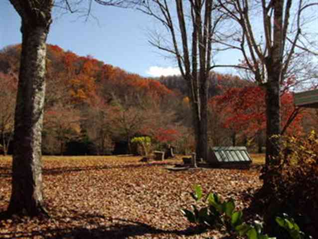 127 Waterfalls Road Sunset, SC 29685 - Photo 5 of 25 Gallery Image 5