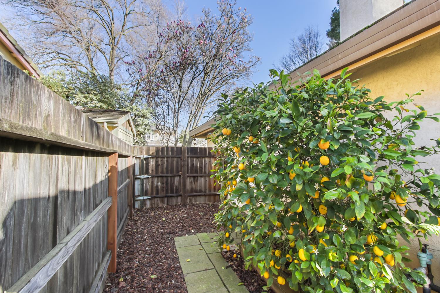 2216 Bryce Lane Davis, CA 95616 - Photo 44 of 53 a view of a house with a tree