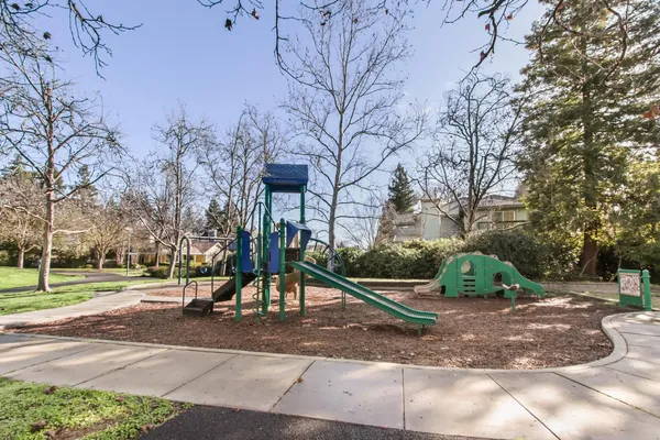 a view of a park with large trees