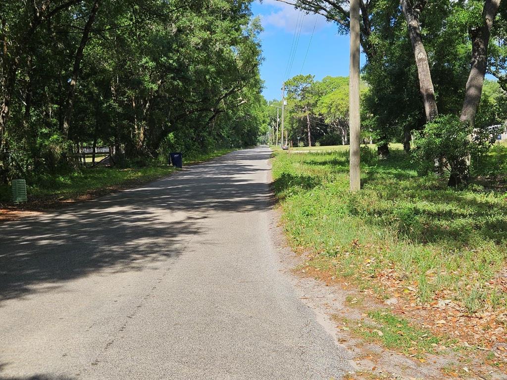 Burnsed Road Pierson, FL 32180 - Photo 9 of 10