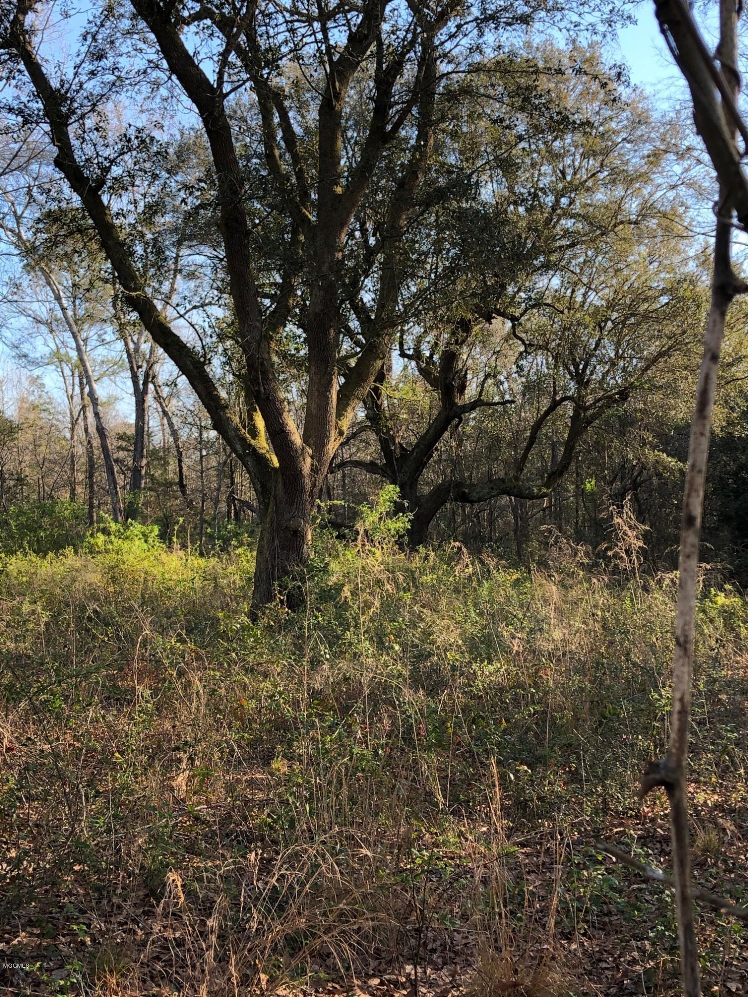 0 Frederick Road Pass Christian, MS 39571 - Photo 1 of 2 IMG_7194