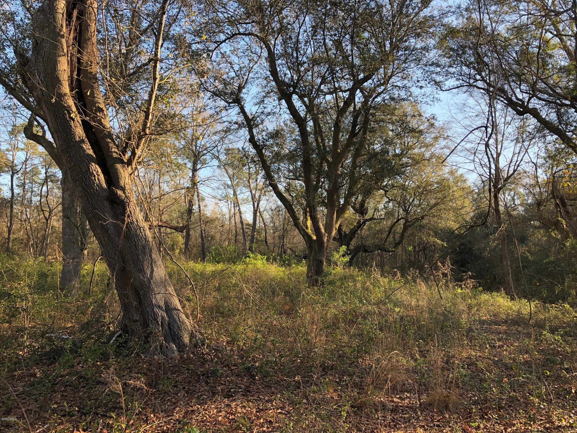 0 Frederick Road Pass Christian, MS 39571 - Photo 2 of 2 IMG_7193