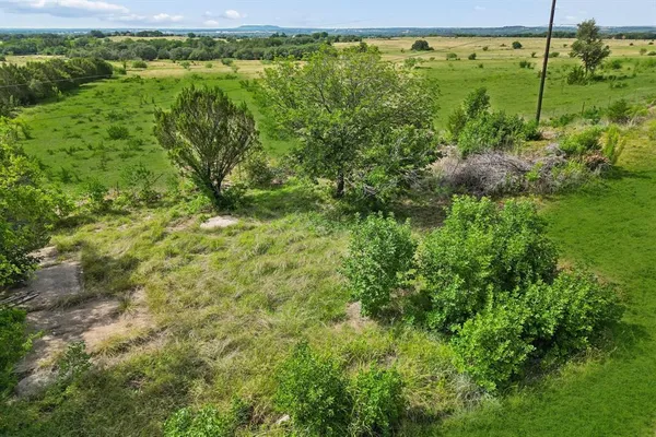 a view of a garden