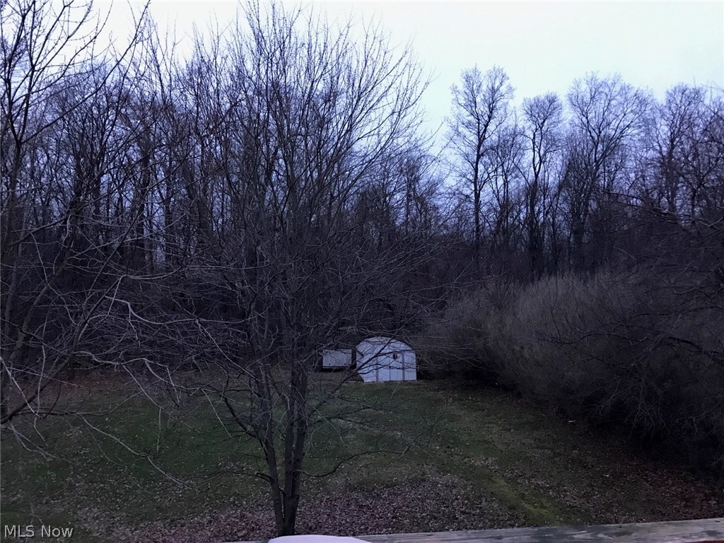 5200 East Messner Road Apple Creek, OH 44606 - Photo 5 of 9