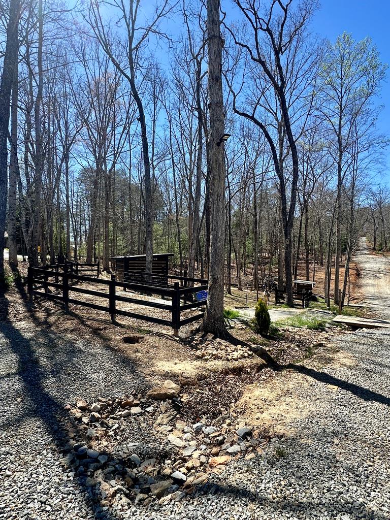554 Tipton Springs Road Morganton, GA 30560 - Photo 63 of 74