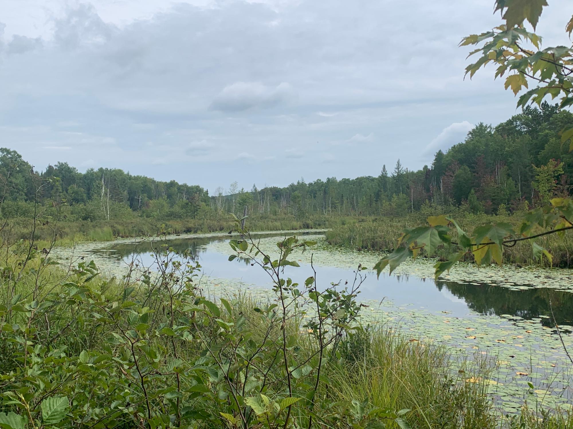 On Bear Tail Point Phelps, WI 54554 - Photo 21 of 52 Gallery Image 21