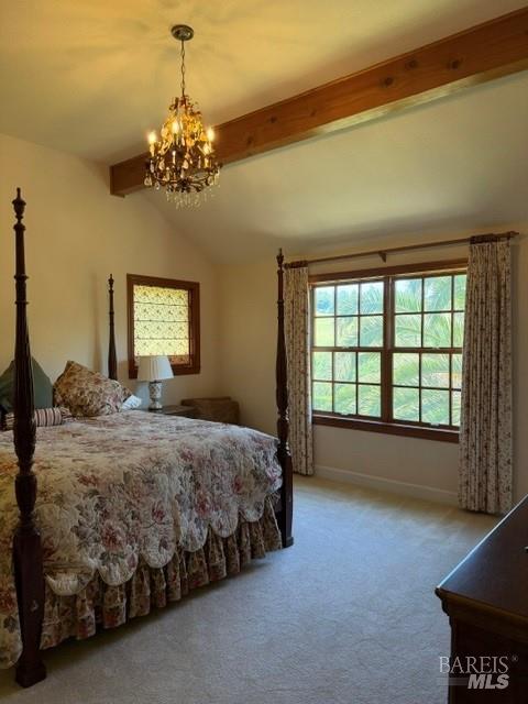16875 Coleman Valley Road Occidental, CA 95465 - Photo 42 of 78
