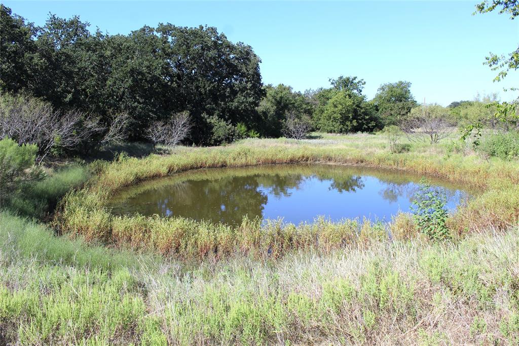 165 County Road 315 Comanche, TX 76442 - Photo 3 of 9 a view of a lake with a yard and large trees