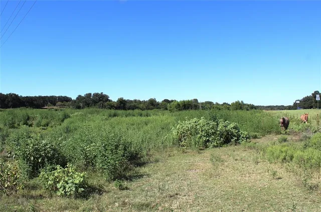 a view of a lush green space with sea