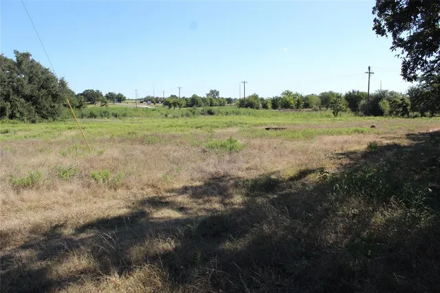 a view of a lush green forest with lots of trees