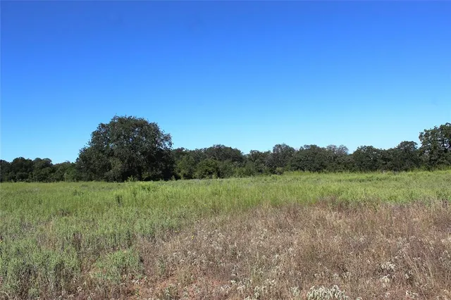 a view of an outdoor space and a yard