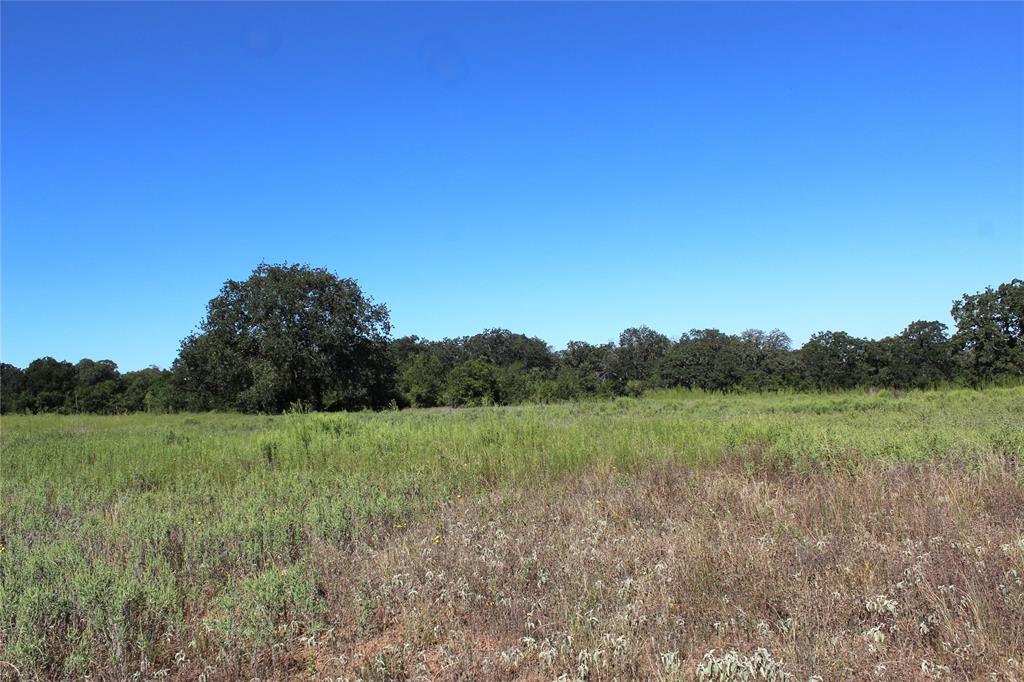 165 County Road 315 Comanche, TX 76442 - Photo 9 of 9 a view of an outdoor space and a yard