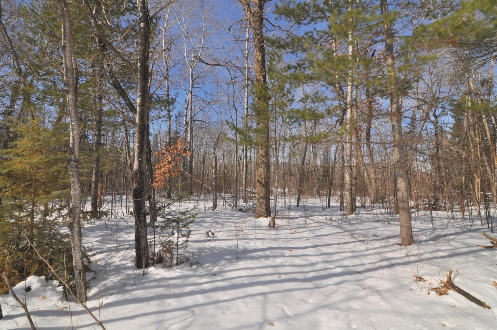 34084 County 39 Laporte, MN 56461 - Photo 13 of 46