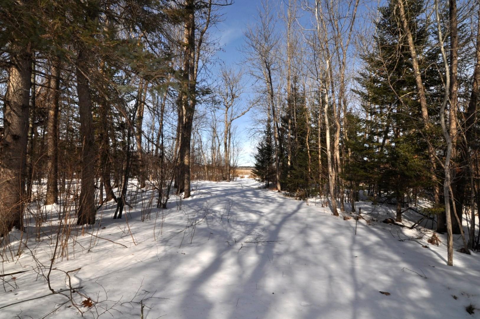 34084 County 39 Laporte, MN 56461 - Photo 18 of 46