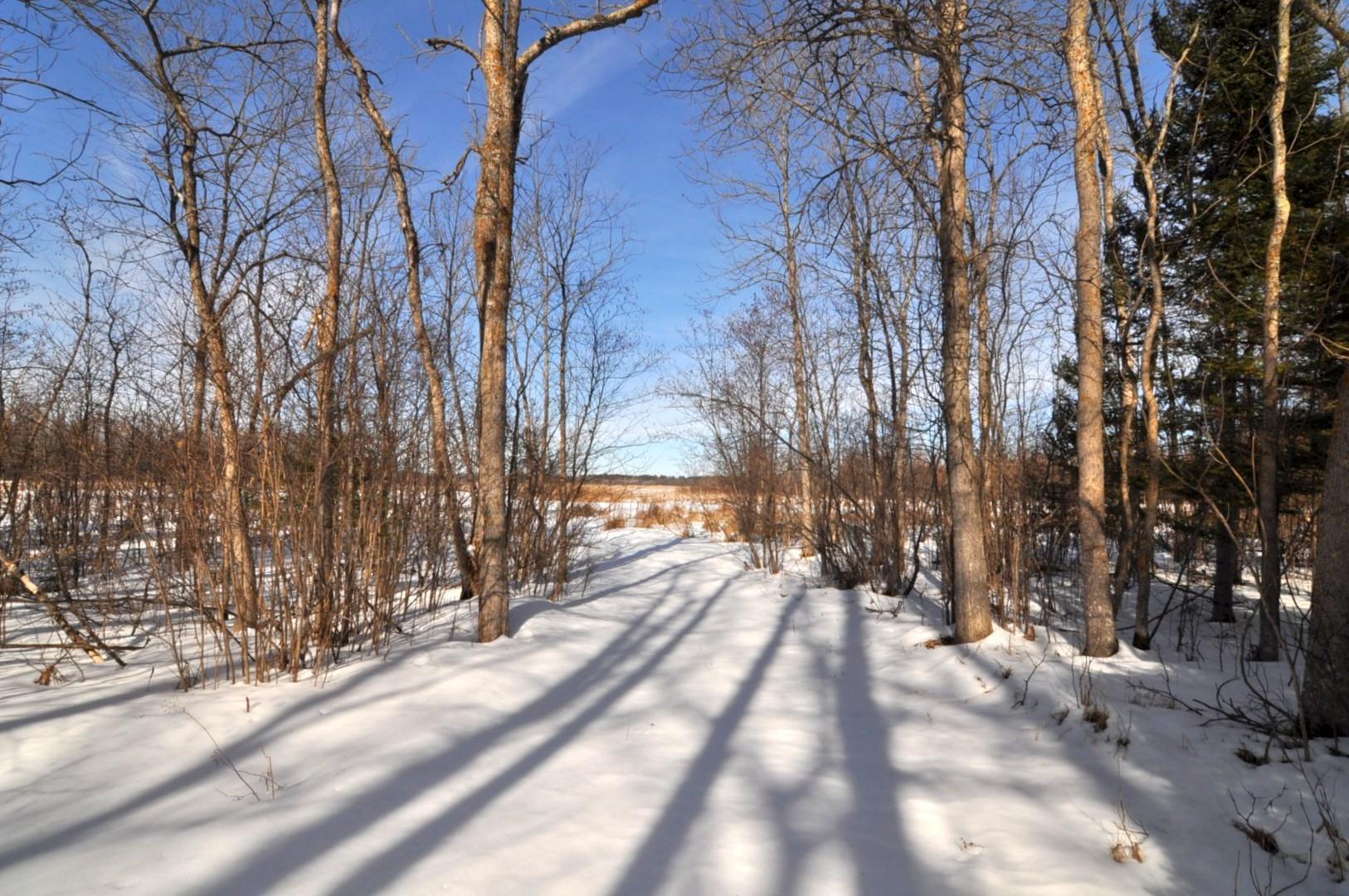 34084 County 39 Laporte, MN 56461 - Photo 20 of 46
