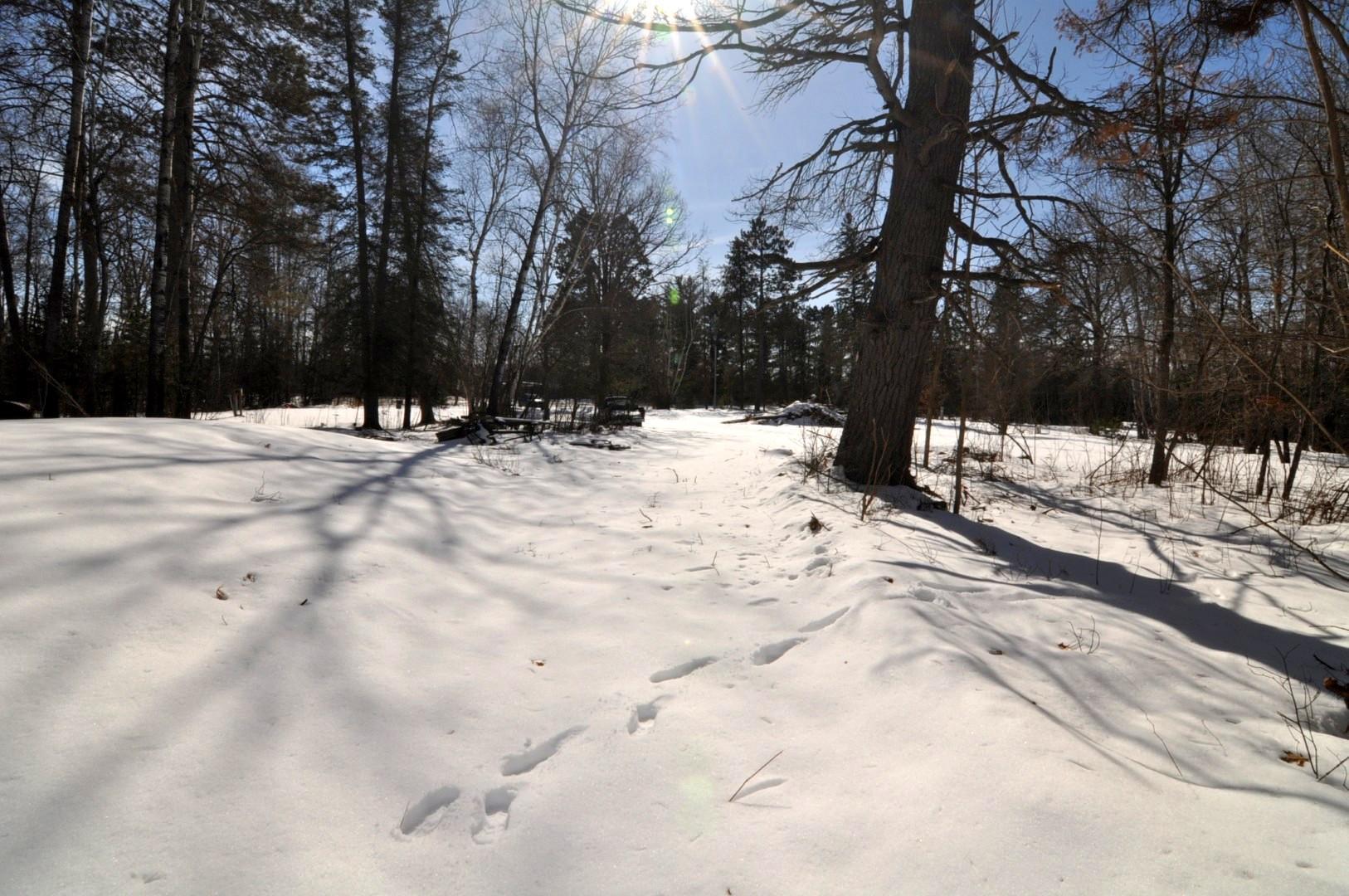 34084 County 39 Laporte, MN 56461 - Photo 28 of 46