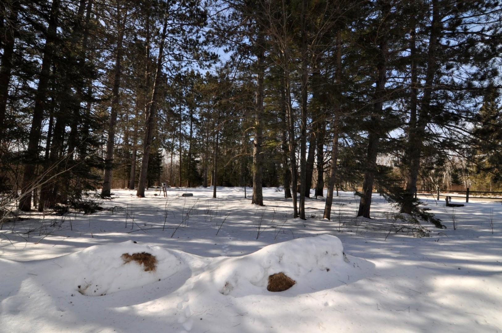 34084 County 39 Laporte, MN 56461 - Photo 35 of 46