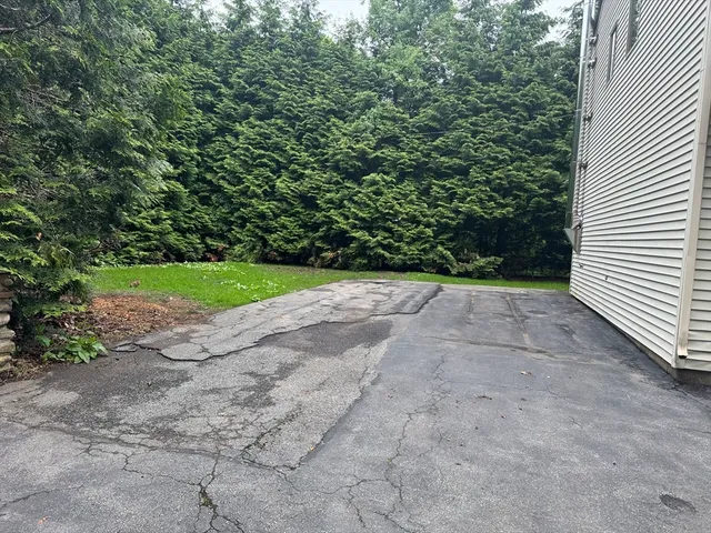 a view of a yard with plants and trees